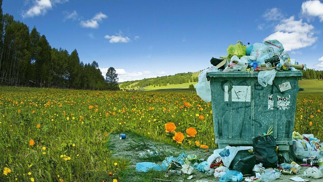 Residuos-el-campo|Residuo Vegetal|Residuos Andalucia|Residuos|Campo de Dalias|residuos Almería